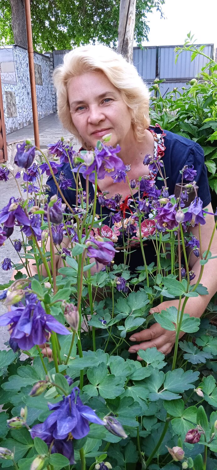 ���� 51879969 ������� ������, 56 ���, ���� ���������� � ���������