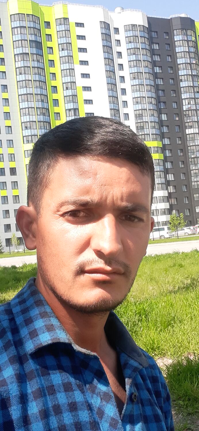  45597319  , 31 ,    
