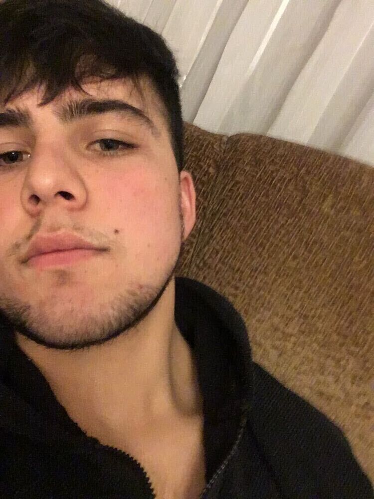  43217959  , 33 ,    