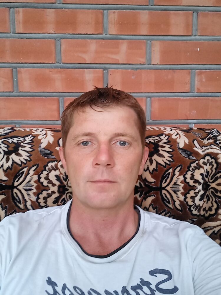  26068919  , 33 ,    --