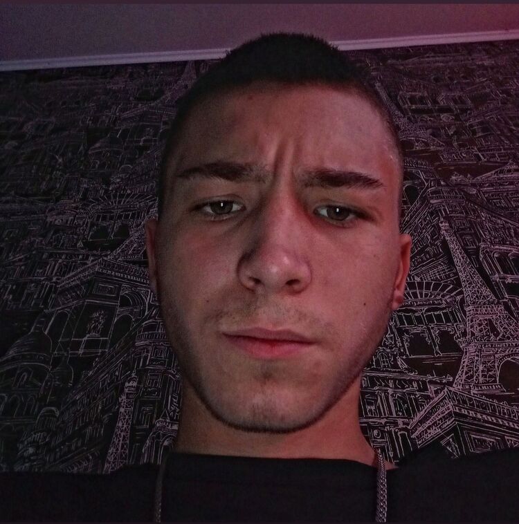  31488459  , 20 ,    