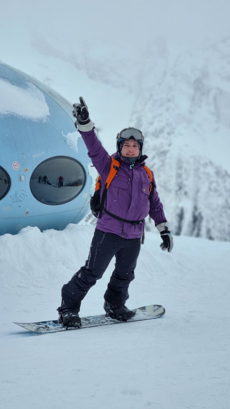  31504649  , 36 ,    -