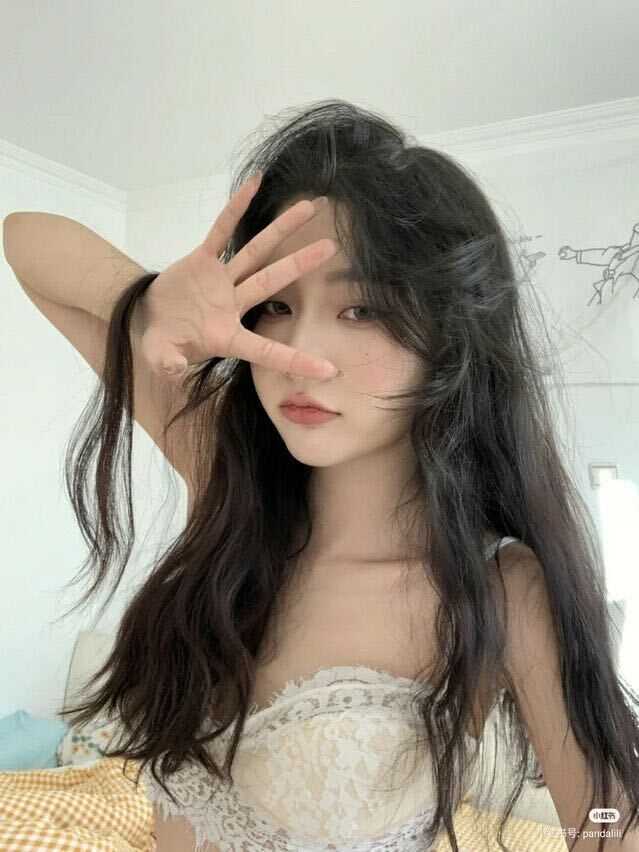  33107869  , 25 ,    