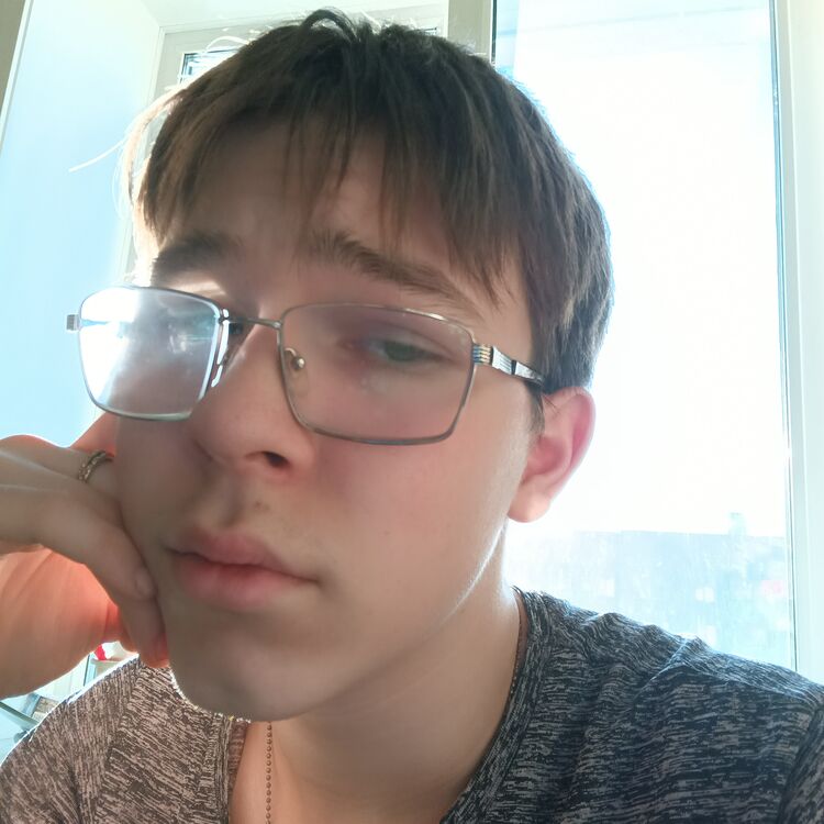  50952379  , 19 ,    -