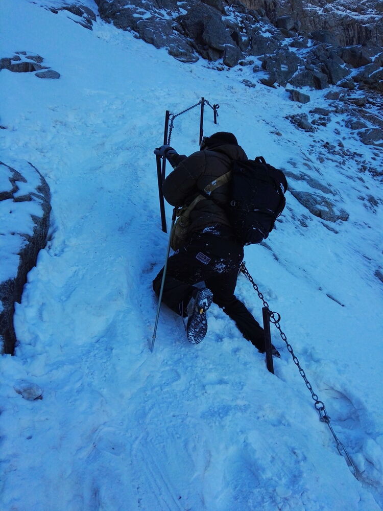 ���������� ������, ���� ������� ��� ������, 37 ���, ������������ ��� ������, ����� � ���������, c�������� ���������