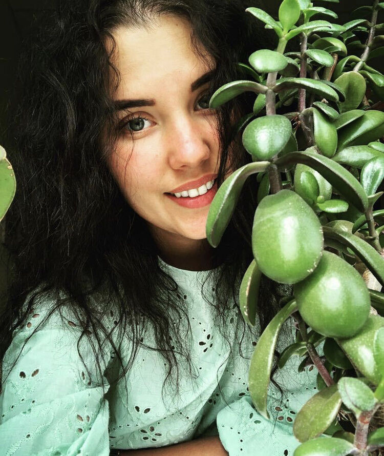  24248149  , 29 ,    -