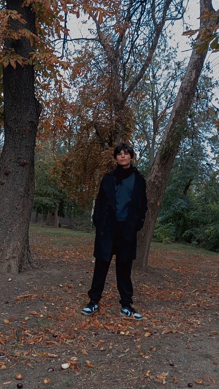  53815009  , 18 ,    --