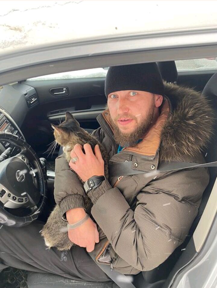 ���������� ��������, ���� ������� �������, 49 ���, ������������ ��� ������, ����� � ���������