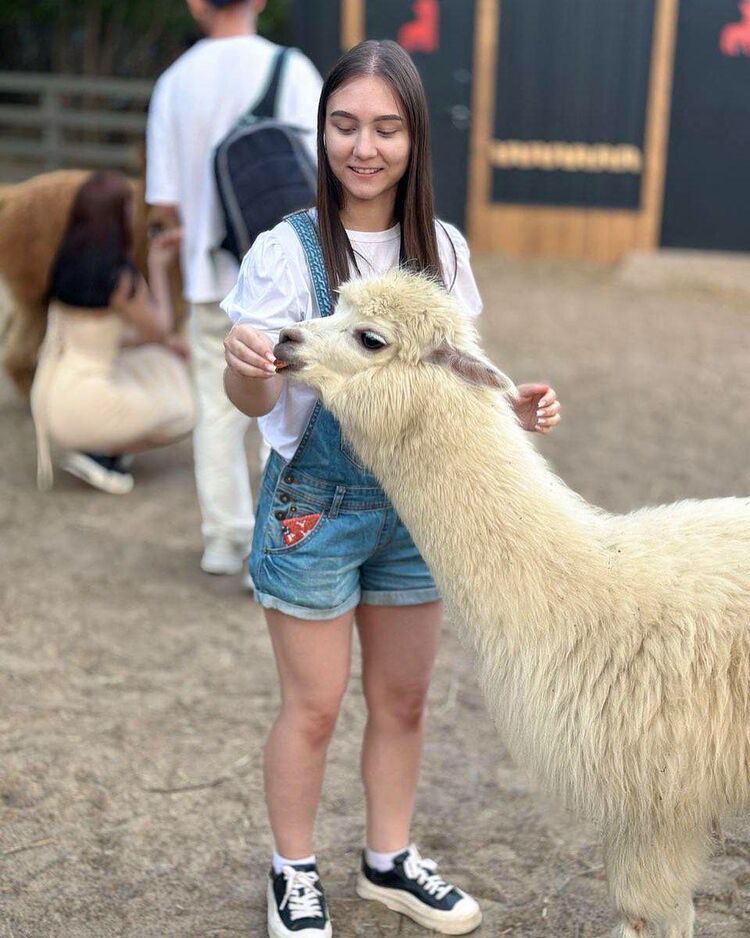 ���������� ������, ���� ������� ����, 20 ���, ������������ ��� ������, ����� � ���������