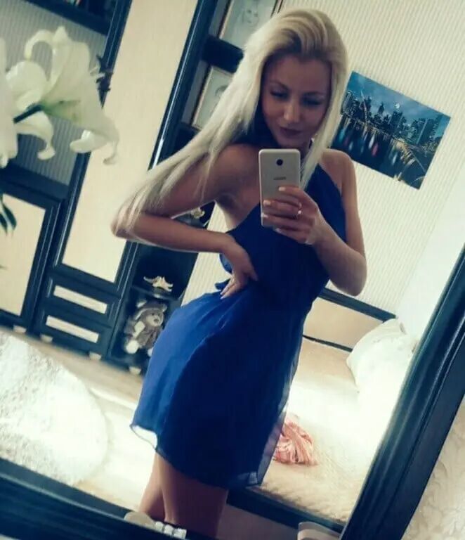  43772839  , 24 ,    