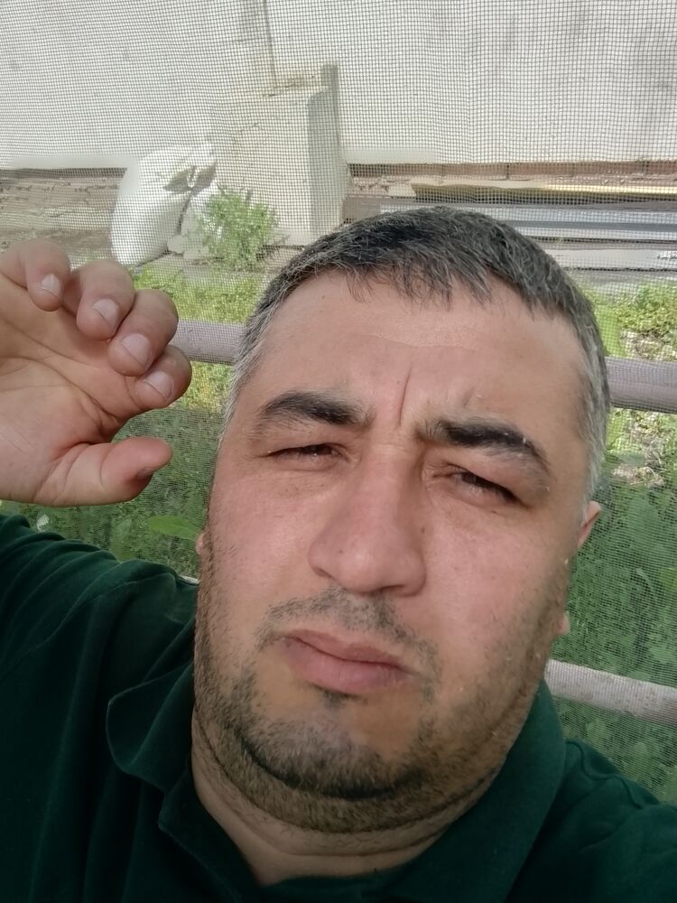 ���� 44169019 ������� ����, 38 ���, ���� ���������� � ������������