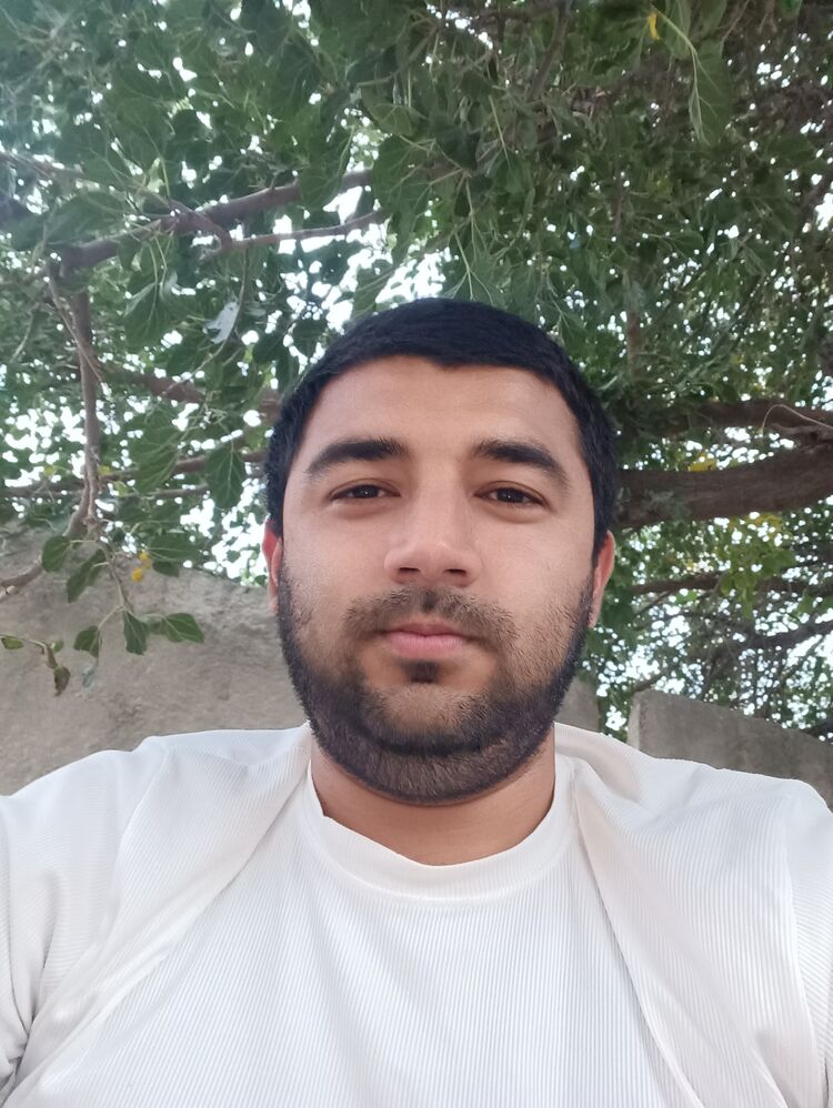  40126199  , 31 ,    