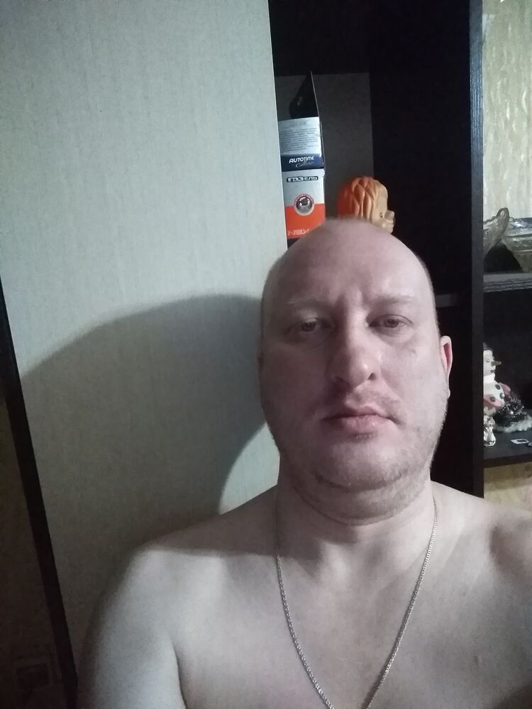  41651629  Vit, 41 ,    
