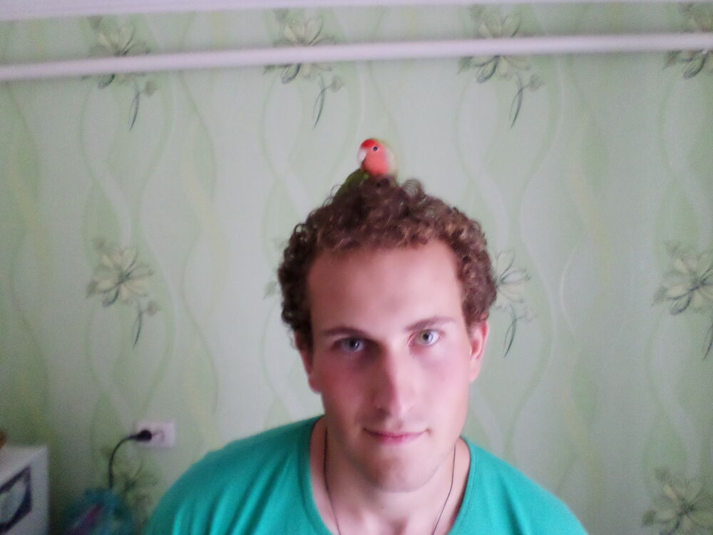 ���������� ���������, ���� ������� ������, 36 ���, ������������ ��� ������