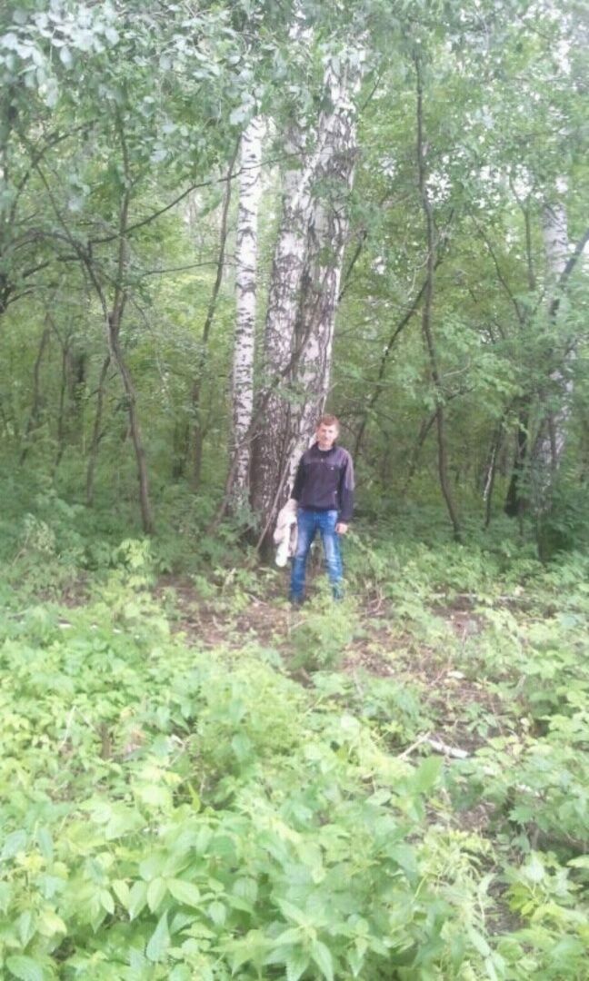 ���� 55188369 ������� ������, 37 ���, ���� ���������� � ����������