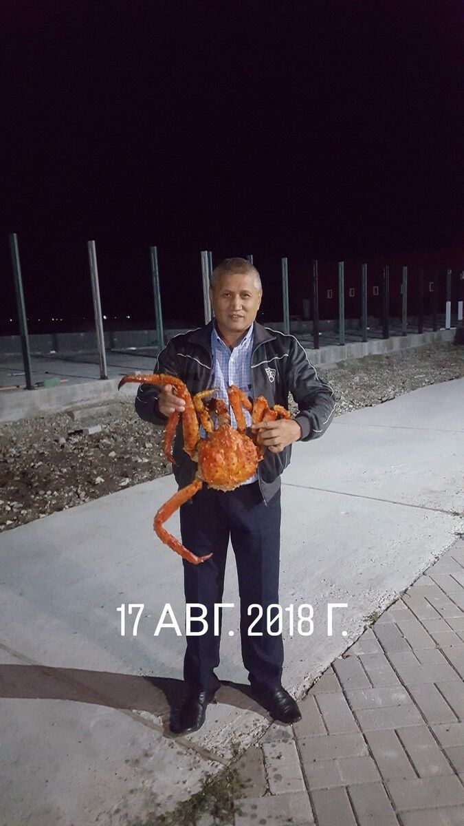  13260839  , 59 ,    