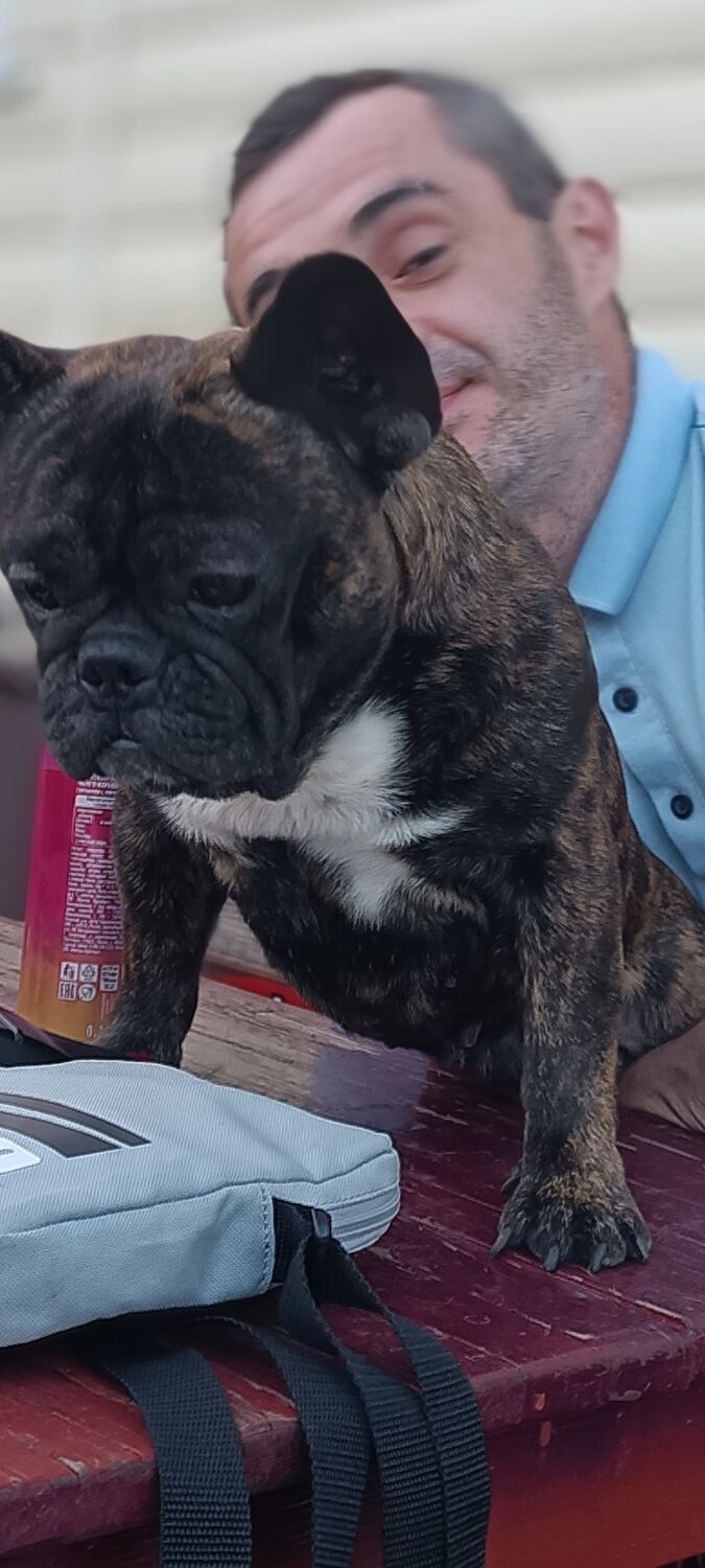 ���������� ������, ���� ������� �����, 42 ����, ������������ ��� ����� � ���������, c�������� ���������