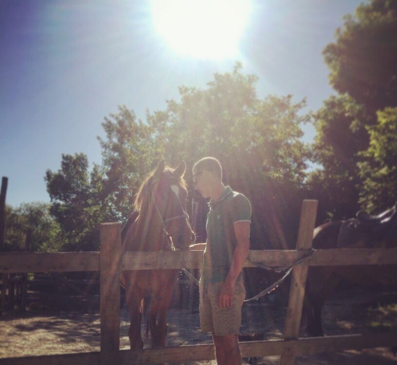 ���� 25633949 ������� ������, 38 ���, ���� ���������� � ����������