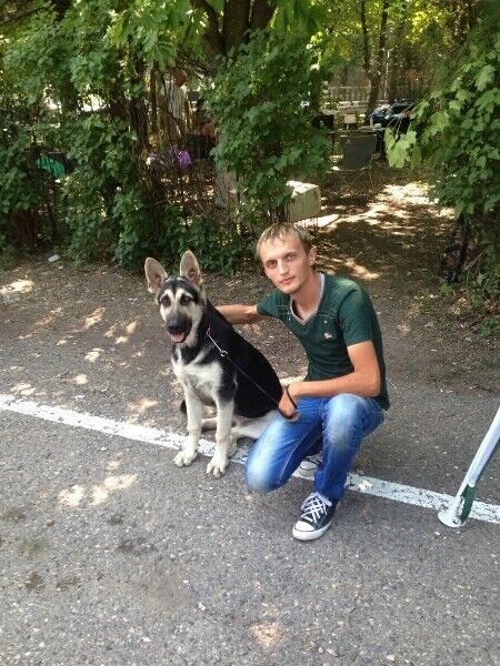 ���� 12829649 ������� ����, 37 ���, ���� ���������� � ����������