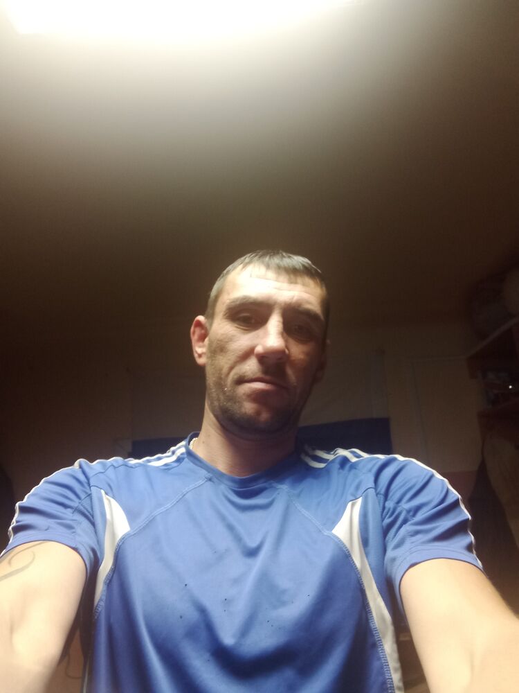  38639059  , 41 ,    