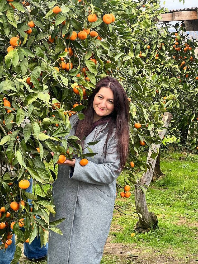 ���� 56003419 ������� ������, 40 ���, ���� ���������� � ����