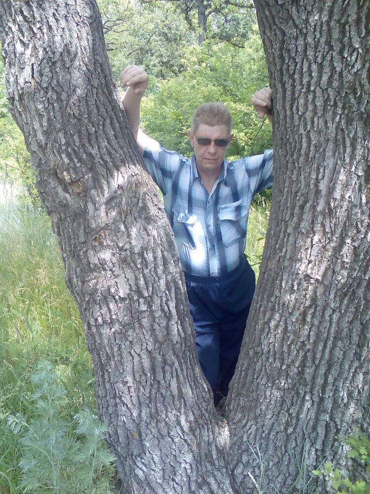 ���������� ��������, ���� ������� �����, 49 ���, ������������ ��� ������