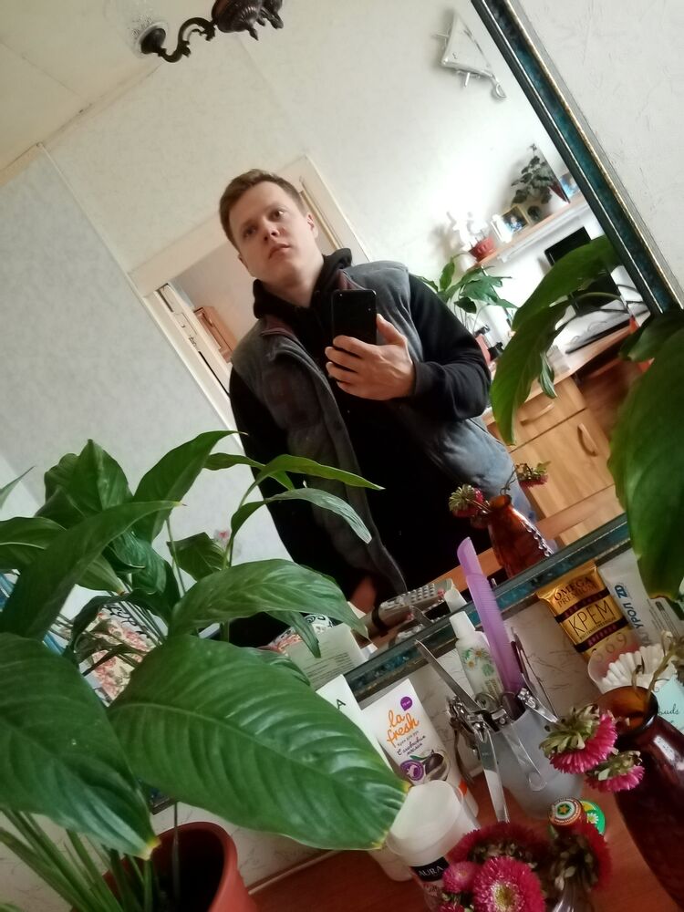  23341649  , 31 ,    