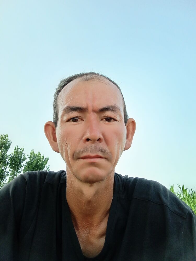  45640459  , 39 ,    