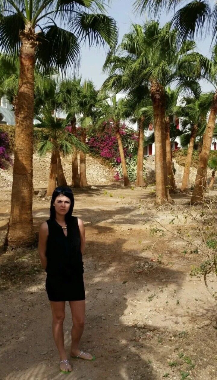 ���������� ��������, ���� ������� �����, 41 ���, ������������ ��� c�������� ���������