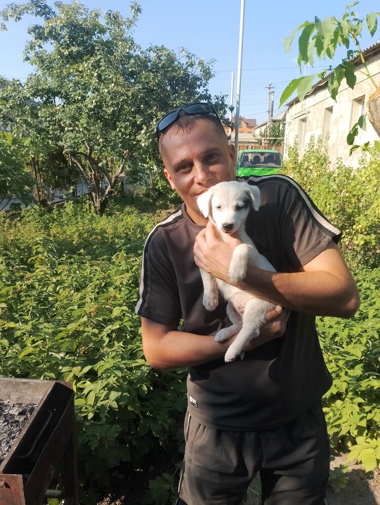 ���� 44911569 ������� ����, 33 ����, ���� ���������� � �����������