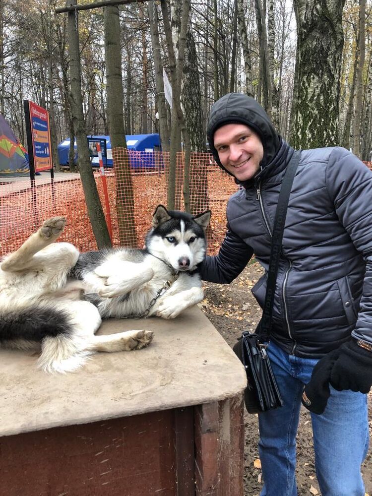 ���������� ������, ���� ������� ������, 36 ���, ������������ ��� ������, ����� � ���������