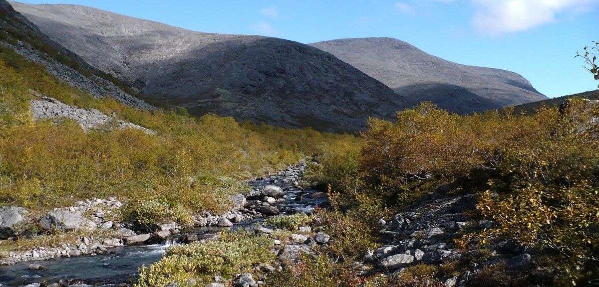 ���������� ����, ���� ������� �����, 39 ���, ������������ 