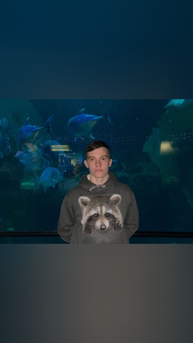 ���������� ������, ���� ����� ��������, 22 ����, ������������ ��� ������, ����� � ���������, c�������� ���������