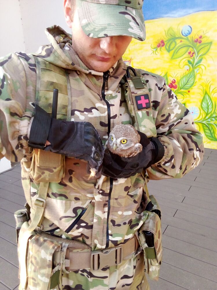  ,   Nazar, 26 ,   ,   