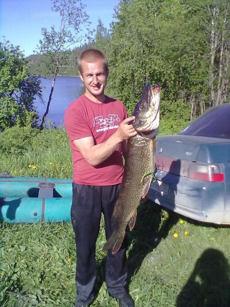 ���� 20505309 ������� ������, 44 ����, ���� ���������� � �����-����������