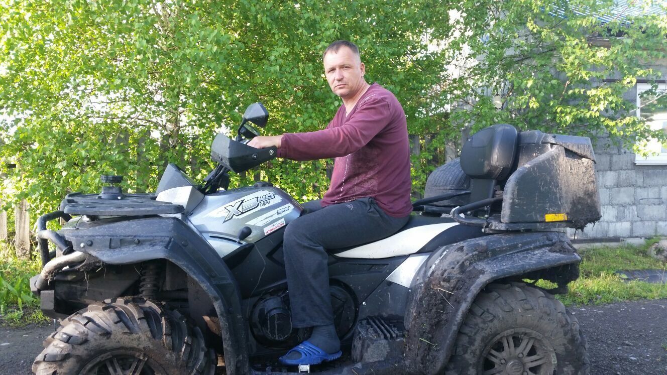  38503499  , 54 ,    