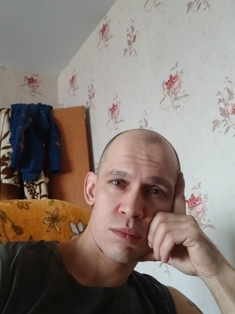  53641329  , 40 ,    
