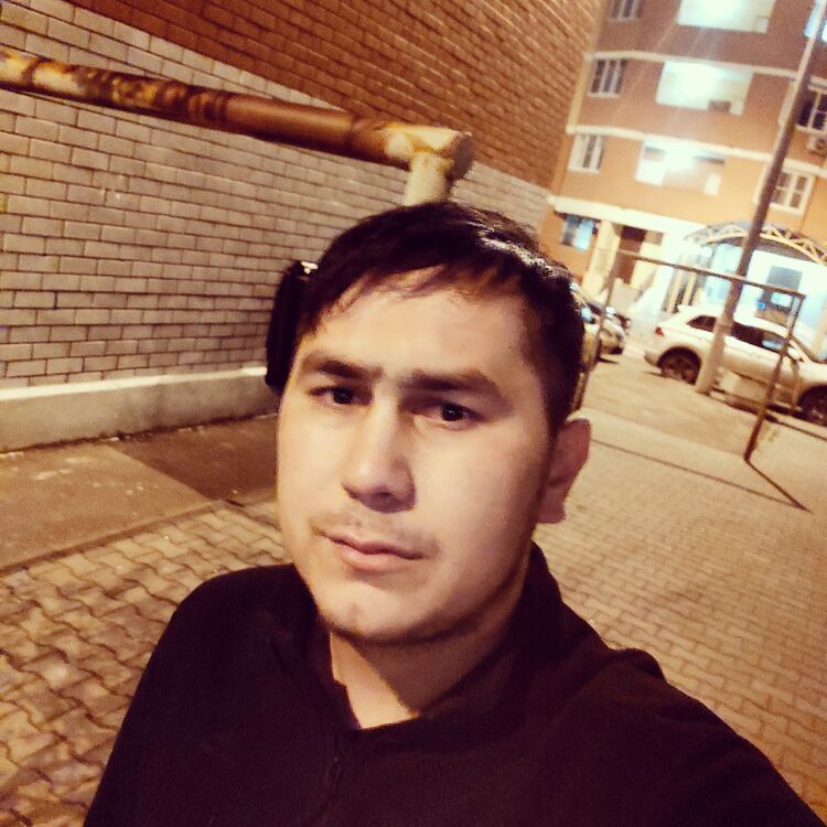  26599459  , 31 ,    