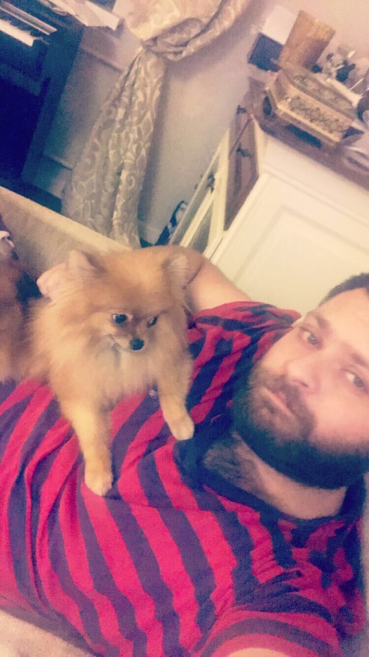 ���������� ����, ���� ������� �����, 33 ����, ������������ ��� ������, ����� � ���������, c�������� ���������