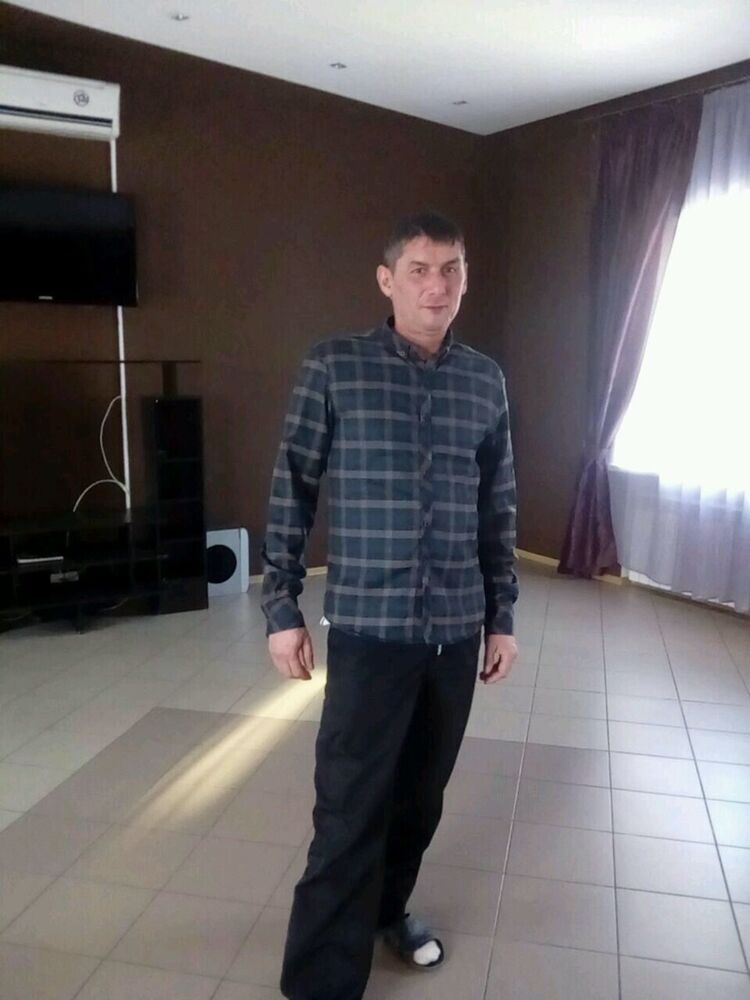  21954709  , 49 ,    