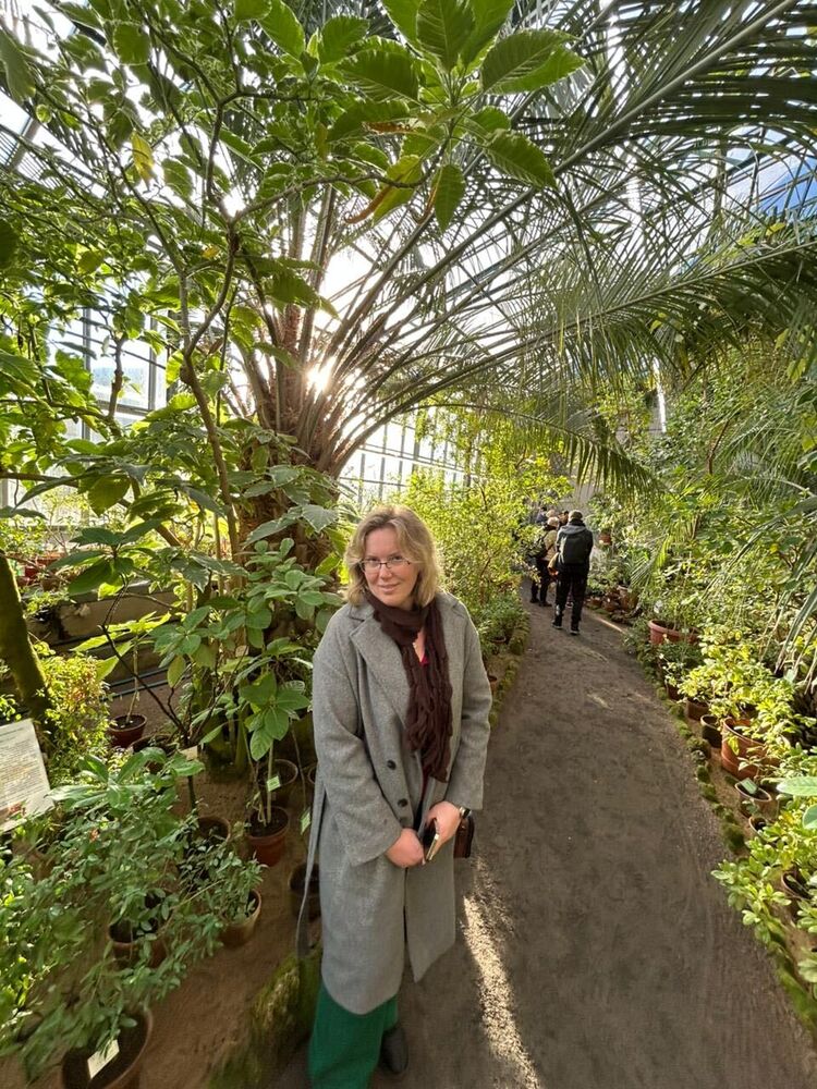  54505319  , 38 ,    -