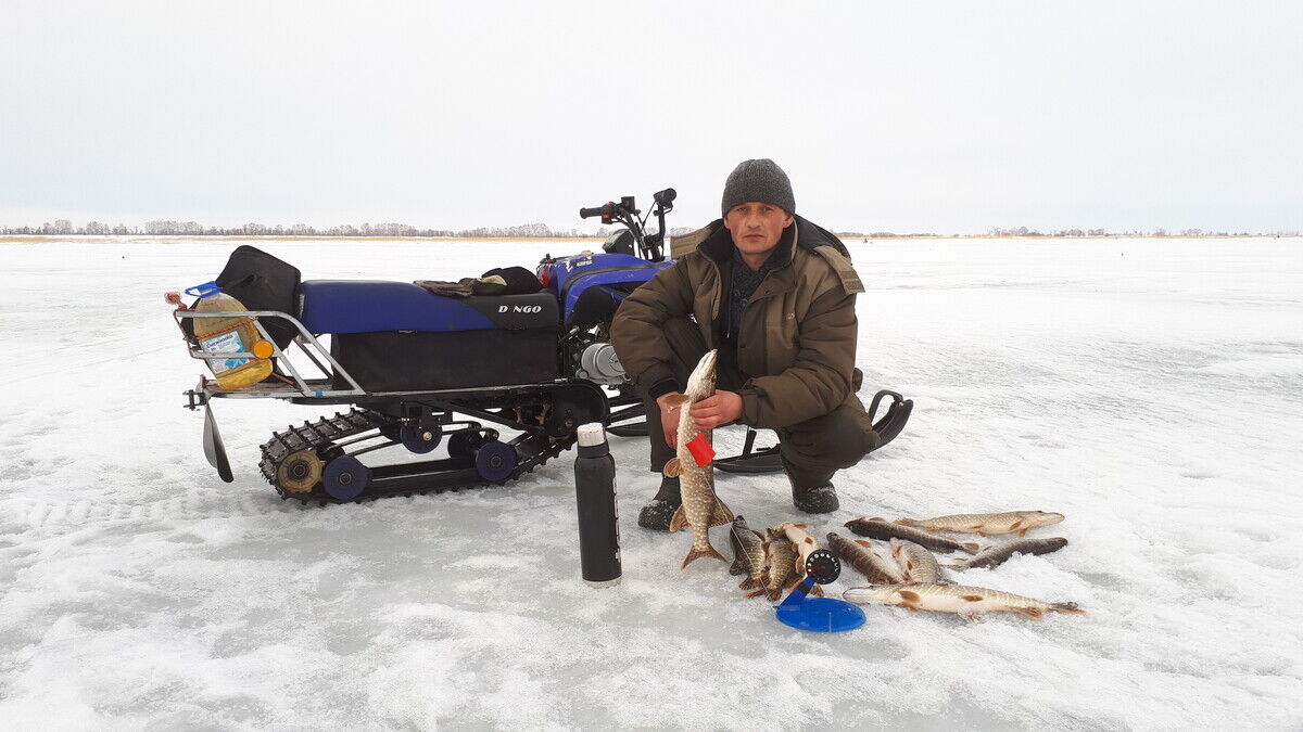 ���������� �����������, ���� ������� ����, 41 ���, ������������ ��� ������, ����� � ���������, c�������� ���������