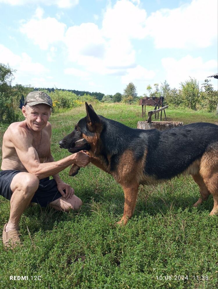  ,   , 56 ,   ,   