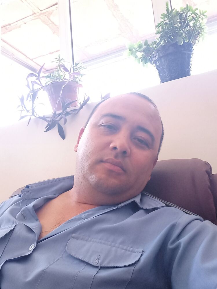  42247289  , 43 ,    