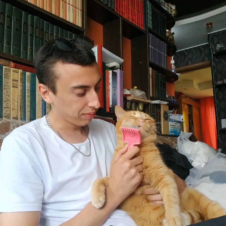  --,   , 24 ,   ,   