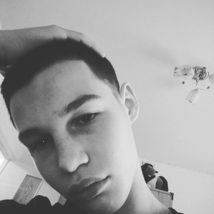  44526799  , 72 ,    