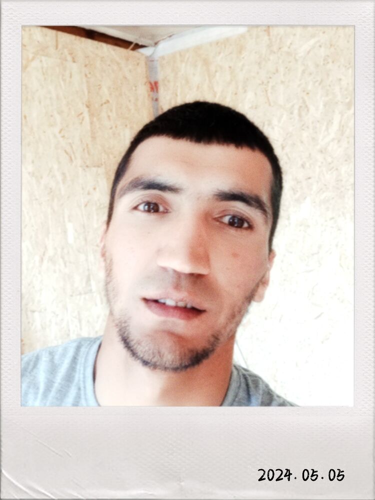  43228779  , 32 ,    