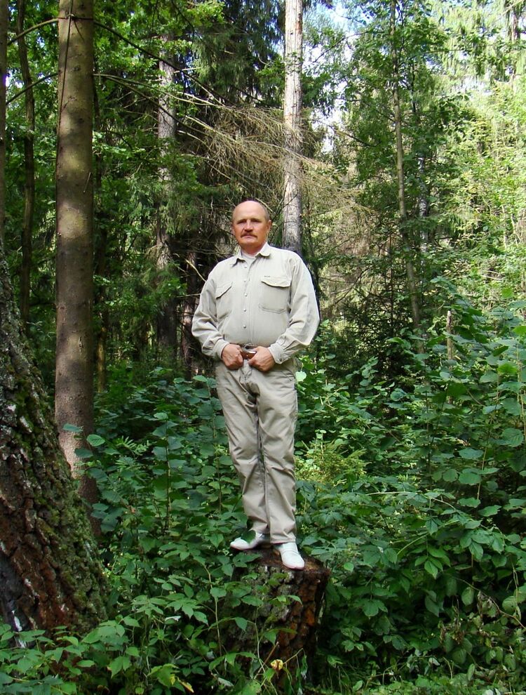  -,   , 62 ,   ,   , c 