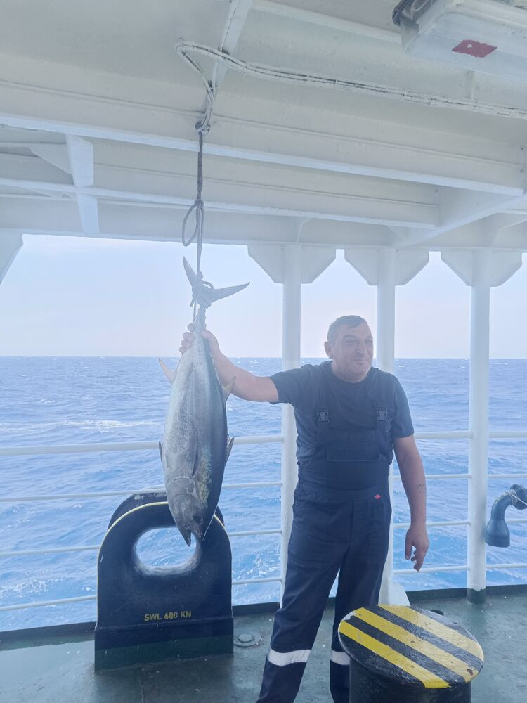 ���������� Tepecik, ���� ������� ����, 99 ���, ������������ ��� ������, ����� � ���������