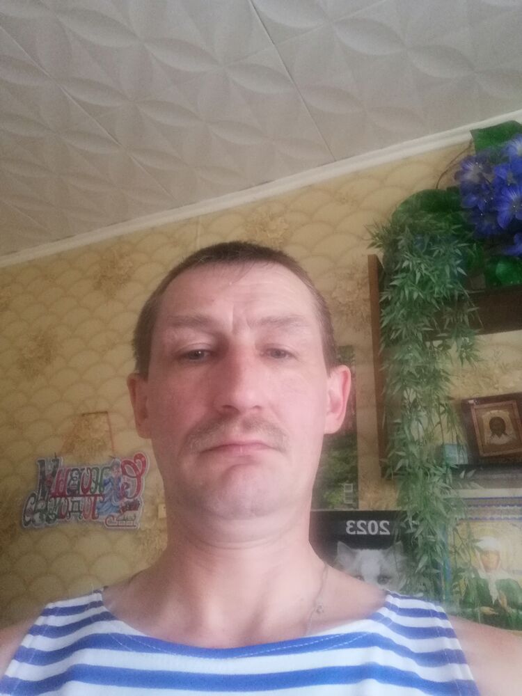  33099319  , 49 ,    